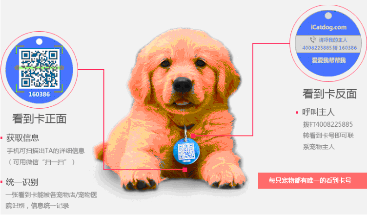 看到卡
