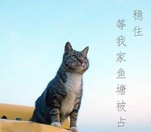 鱼塘被占