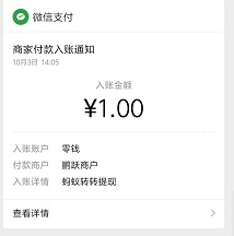 蚂蚁转转到账