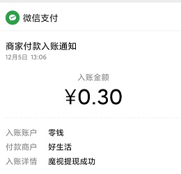 魔视到账