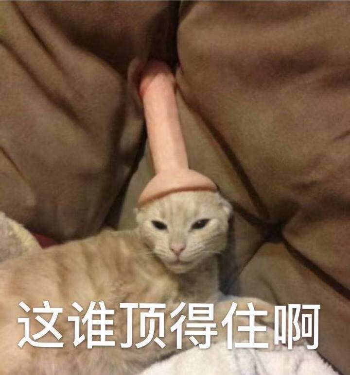 这谁顶得住啊 这谁顶得住啊