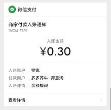 0.3元到账