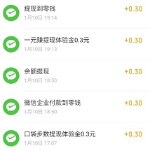 到账记录