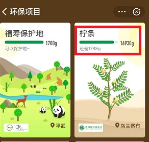 我的环保项目