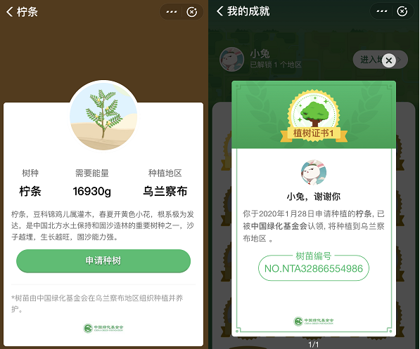 蚂蚁森林种树