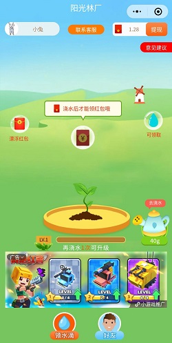 阳光林厂