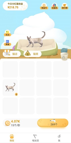 猫咪时间