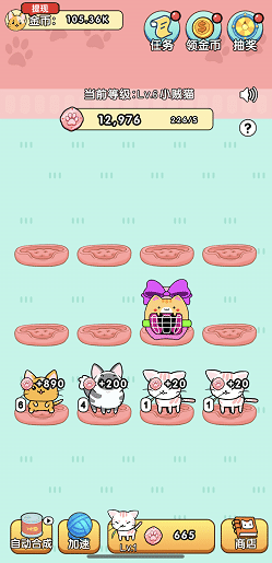 我的小猫