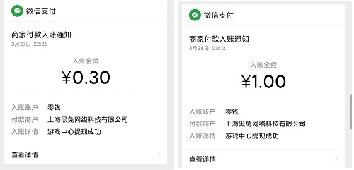 到账记录