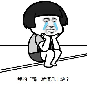 我的鸭