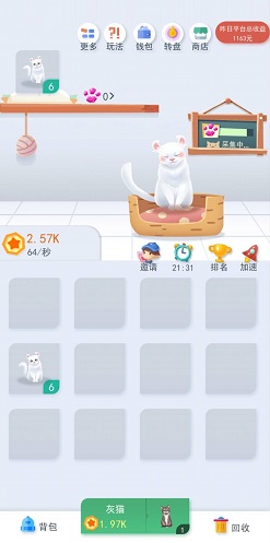 养猫计划