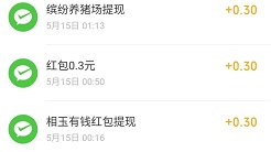 到账记录