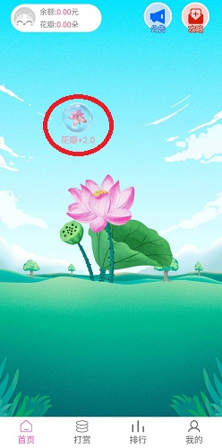 花羽