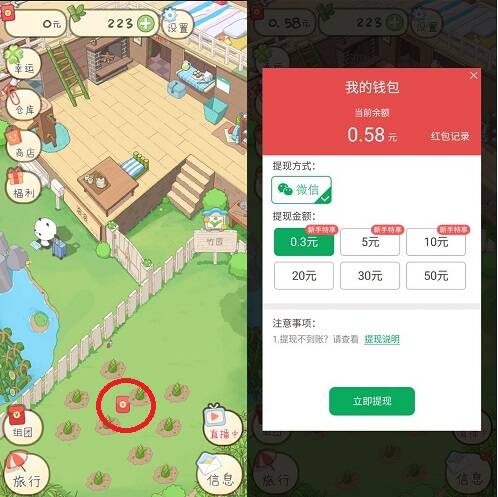 熊猫去哪儿