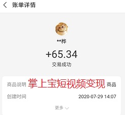 掌上宝变现