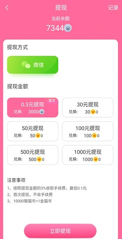 喵喵对撞