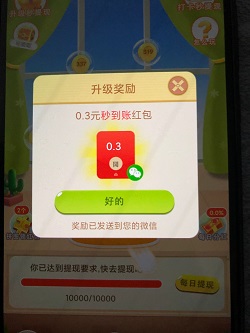 多多小灵猪
