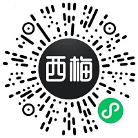 西梅