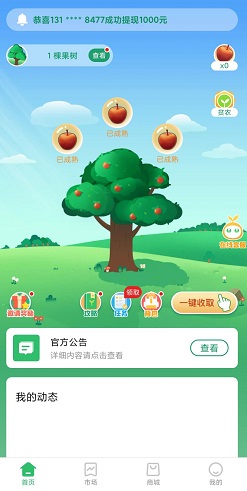 阳光果园