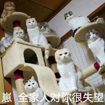失望
