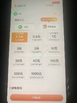 金币相机