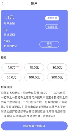 脑王1加1