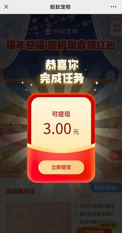 蚂蚁宠物
