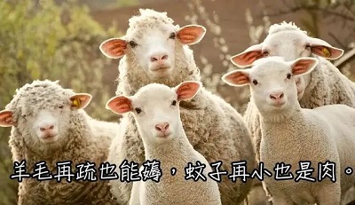 QQ图片20220414200316.jpg