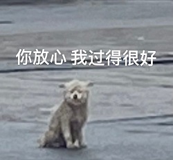 你放心我过得很好