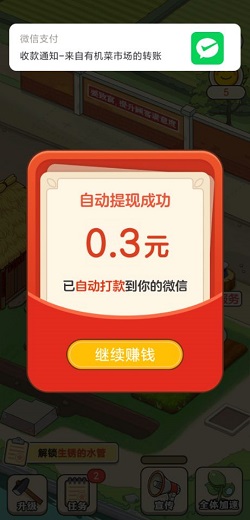 有机菜市场