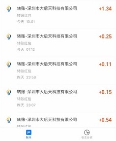 到账记录