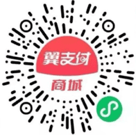 翼支付