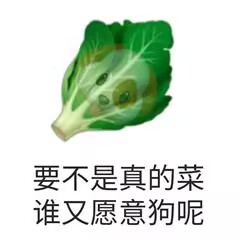 真的菜 真的菜