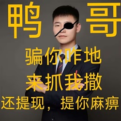鸭子哥