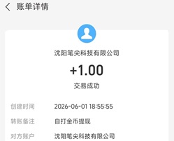 灵之火苗 灵之火苗
